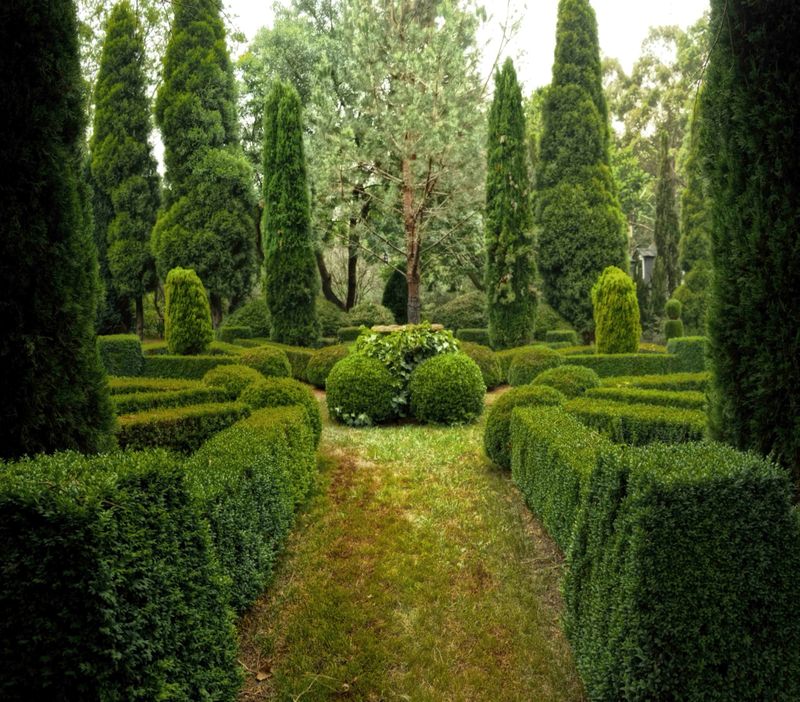 Tree & Shrub Care
