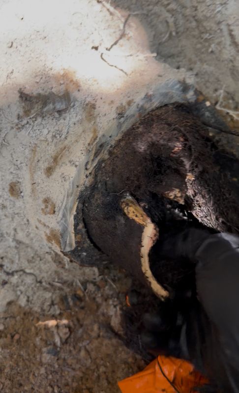 Drain Cleaning and Unclogging