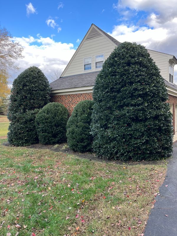 Landscaping