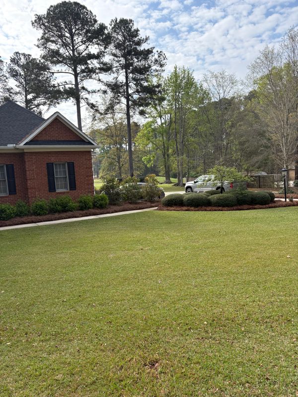 Landscape Design