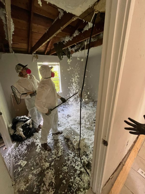 Small demolition and structure removal