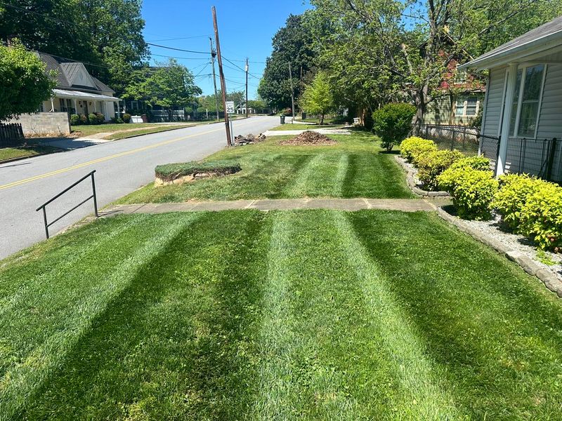 Landscaping 