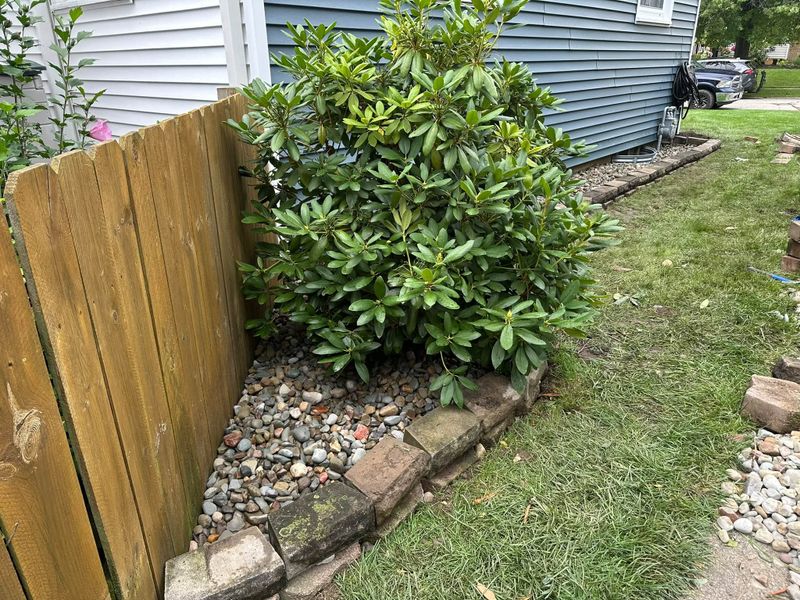 Shrub Trimming