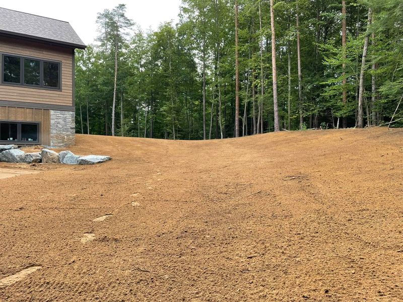 Land Clearing
