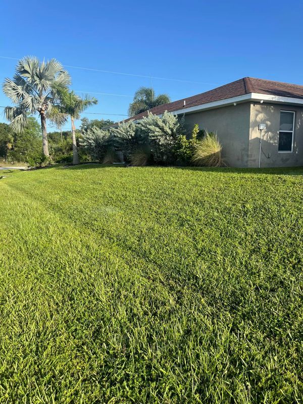 Lawn Maintenance 