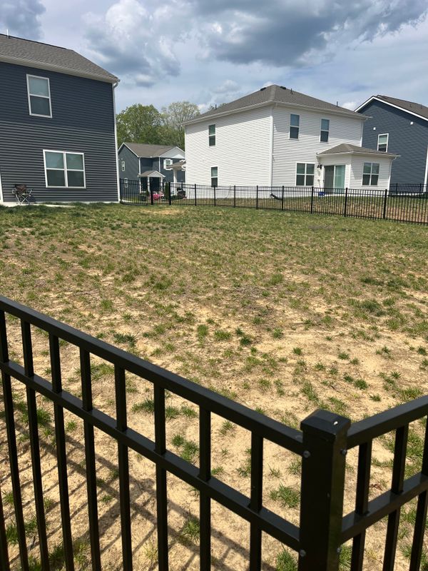 Lawn Makeover