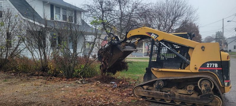 Downed Tree/Brush Removal