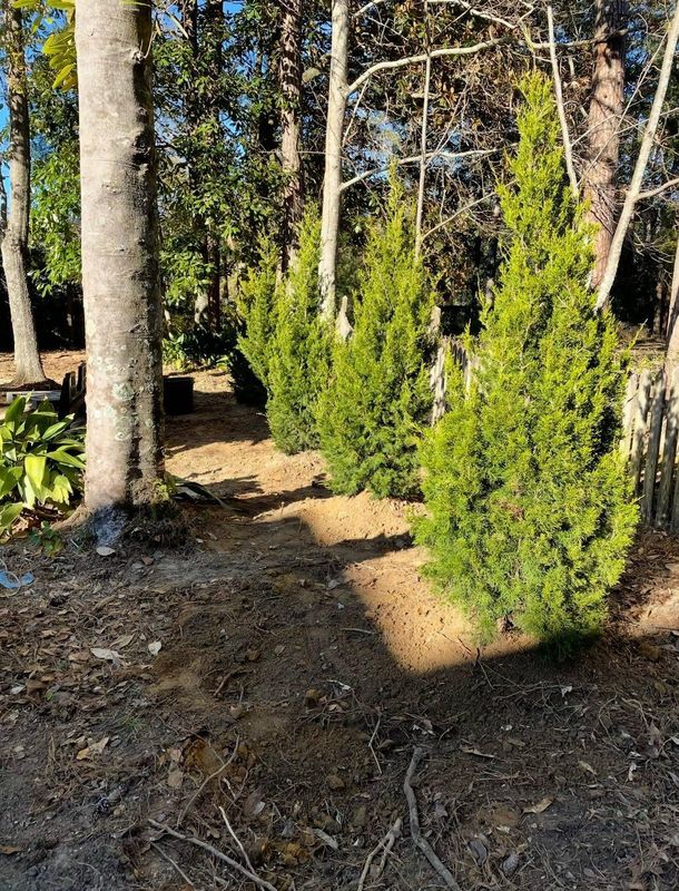 Landscape Design & Planting