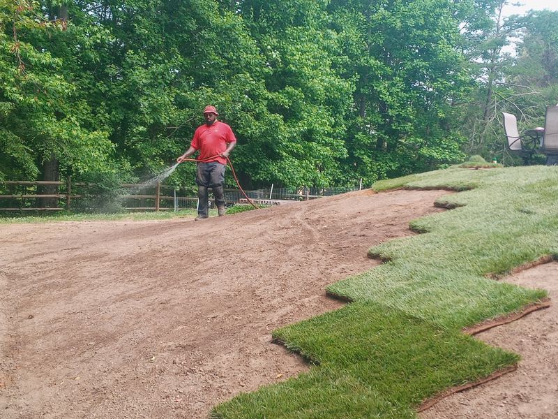Grass Up