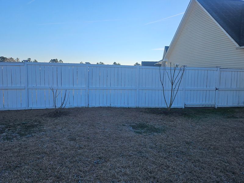 Crepe Myrtle Trimming