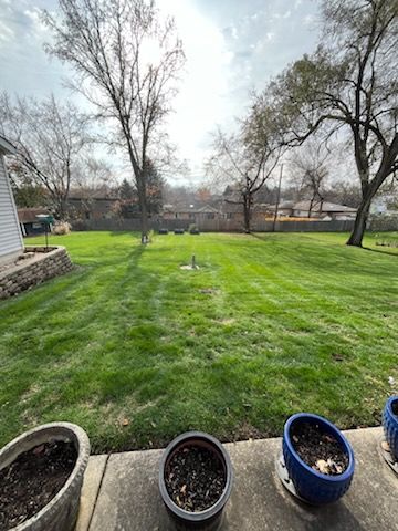 Lawn Maintenance