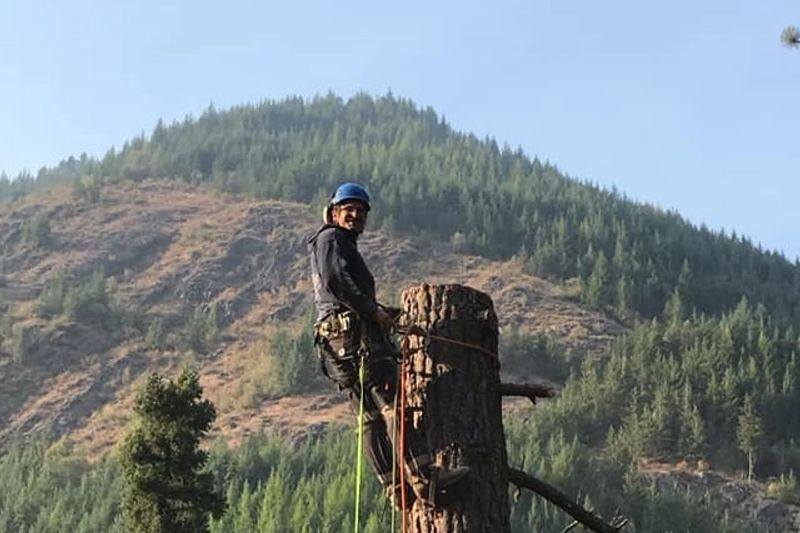 Tree Trimming and Removal