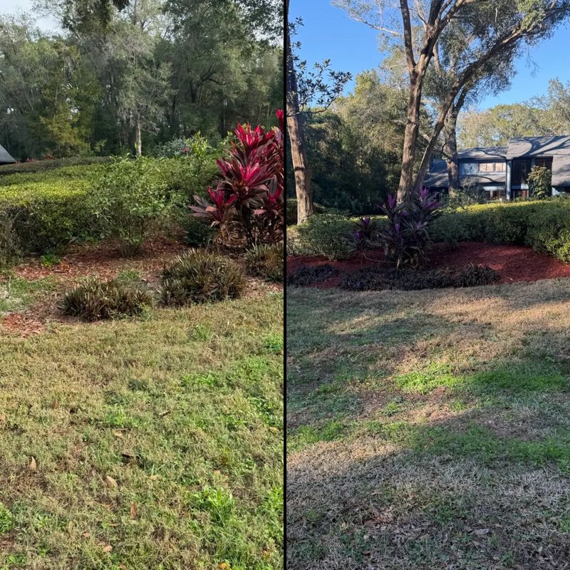 Mulch Installation