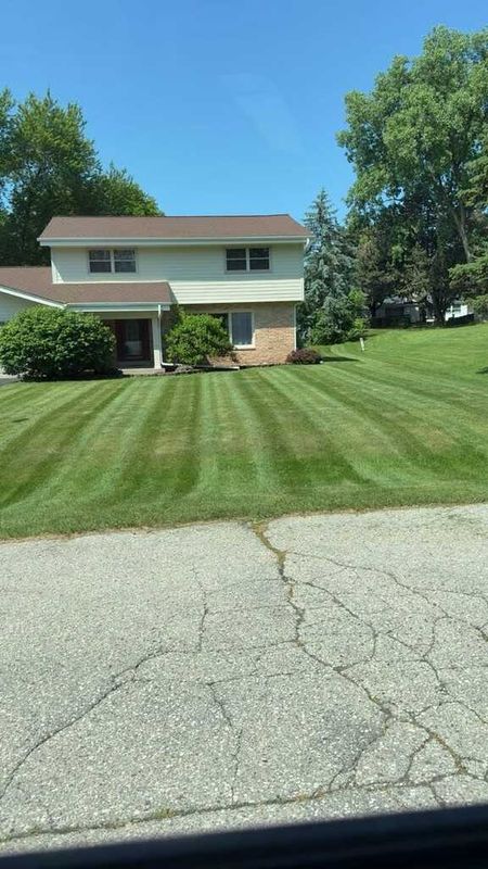 Lawn Maintenance