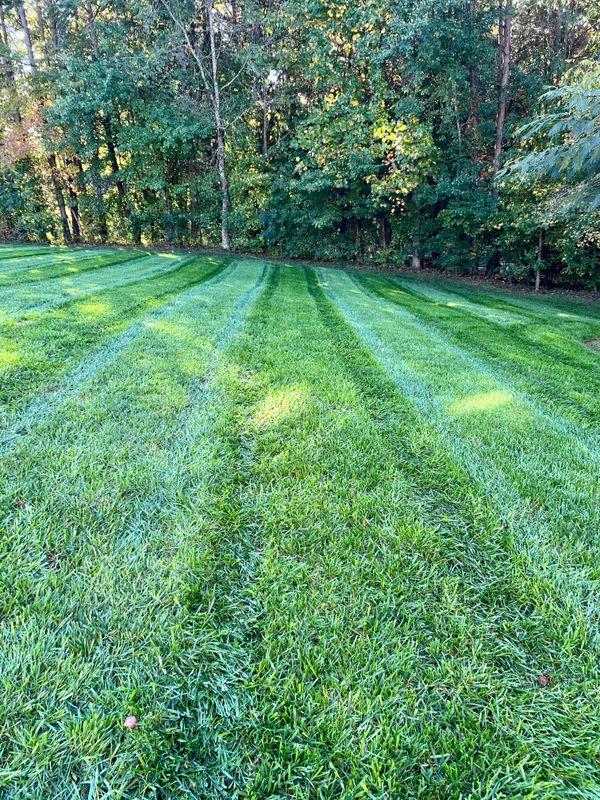 Fertilization and Weed Control Programs
