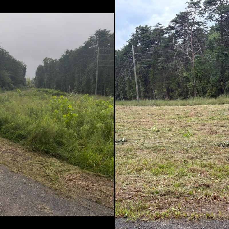 Transforming Wild Overgrowth into Pristine Landscapes with Mountainside Property Services
