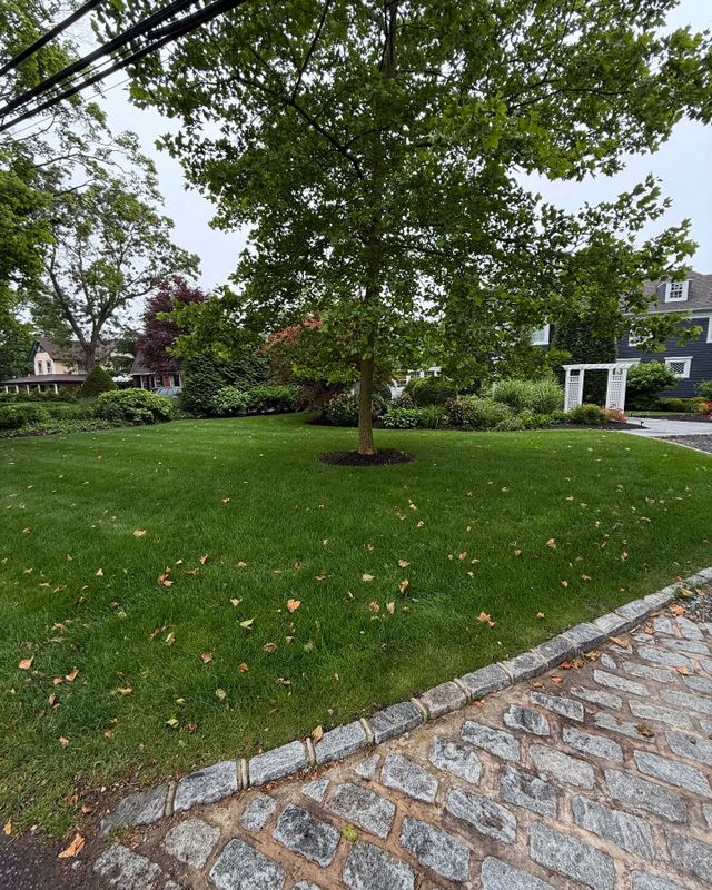 Landscape Maintenance