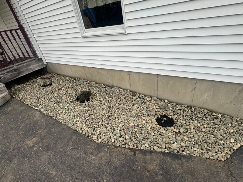 Hardscape Installation