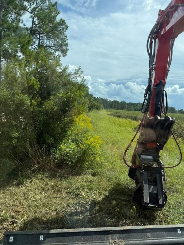 Forestry Mulching
