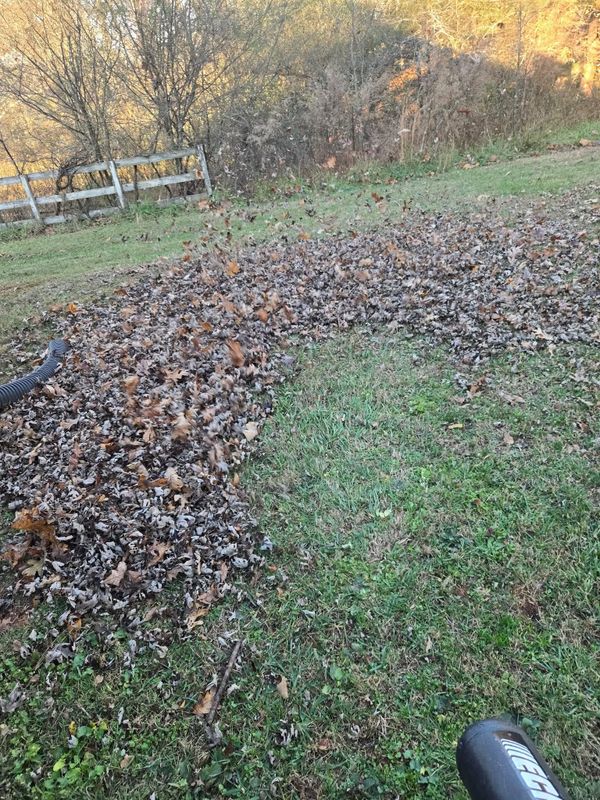 Fall Clean Up