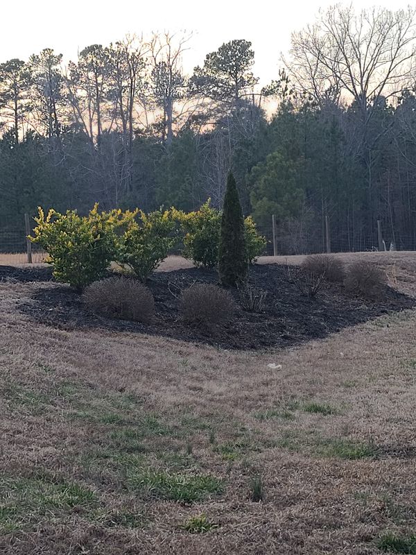 Landscape Design