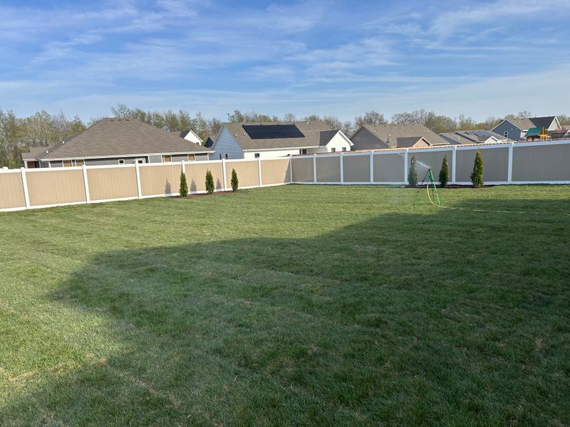 Arborvitae Privacy Fencing
