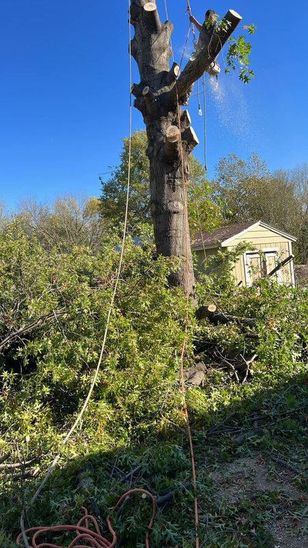 Storm Damage Clean-Up