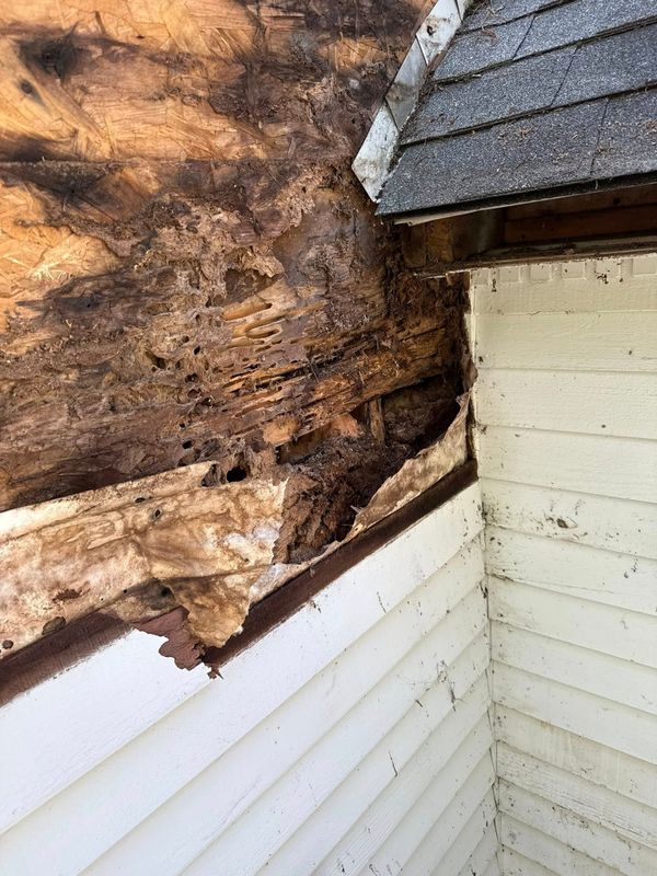 Exterior Renovation