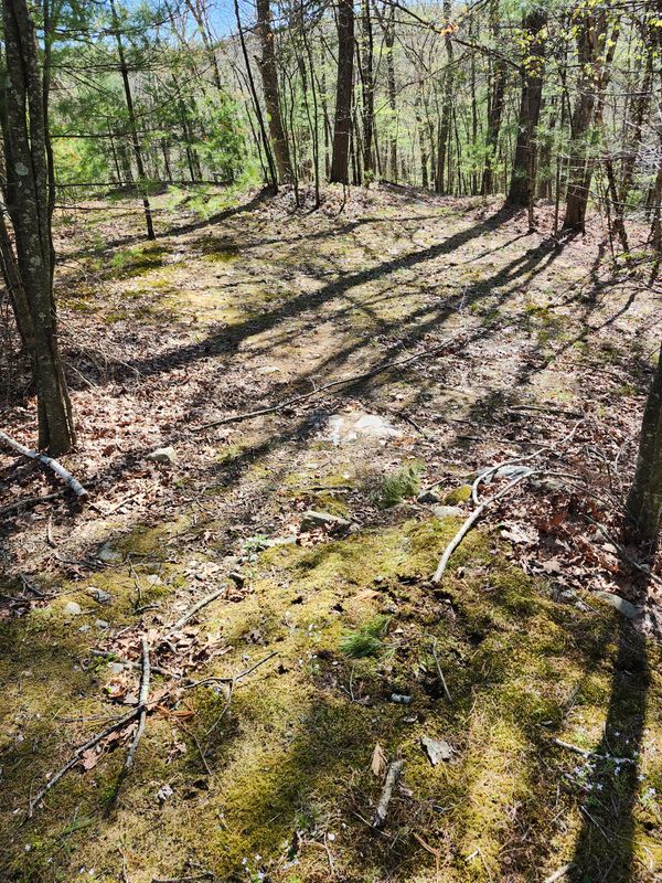 Spring & Fall Cleanups