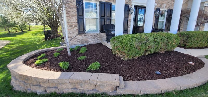 Mulch Installation