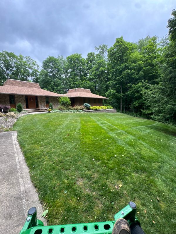 Lawn Maintenance