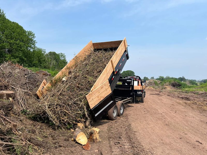 Land Clearing