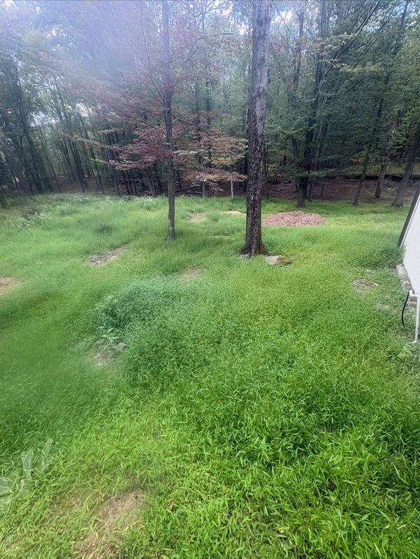 Landscaping