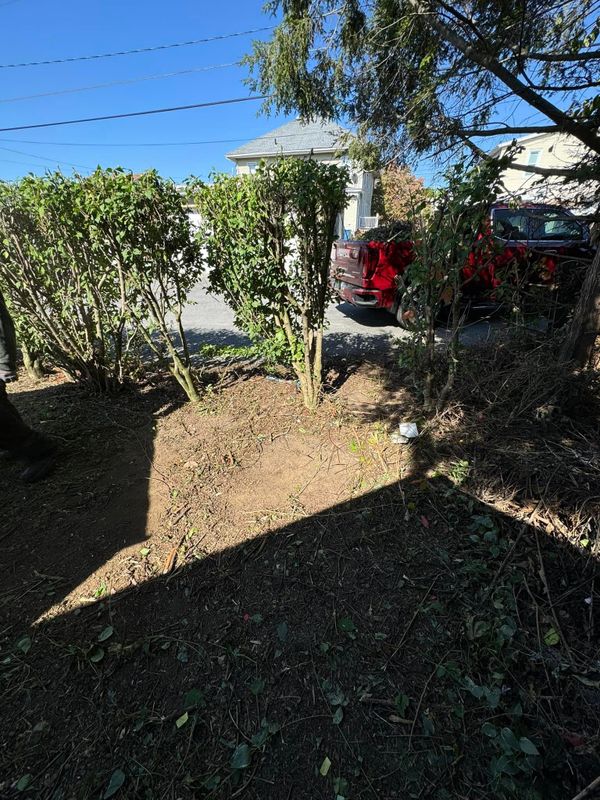 Landscaping