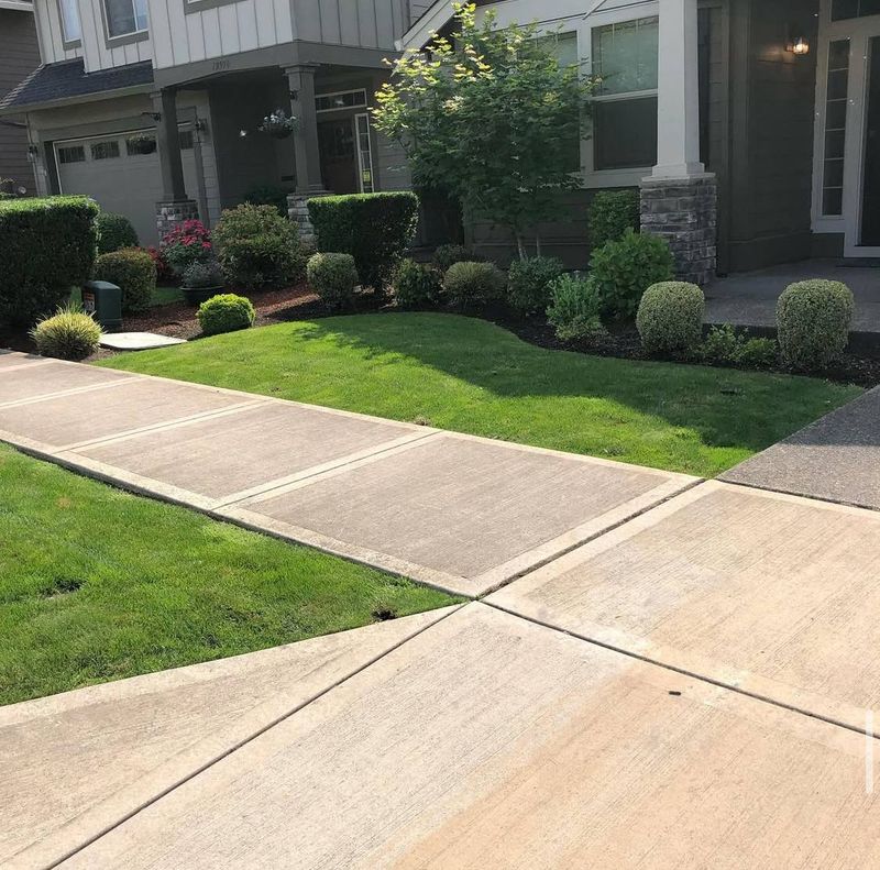 Shrub Trimming