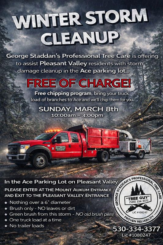 Hazardous Tree Services