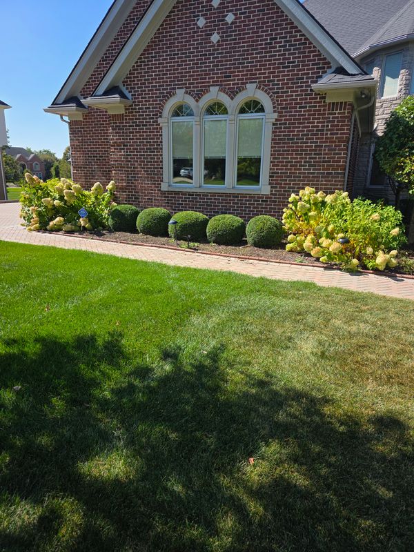 Flower bed Maintenance