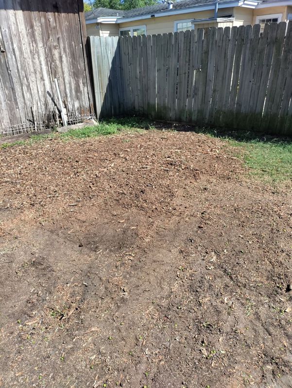 Fall Clean Up