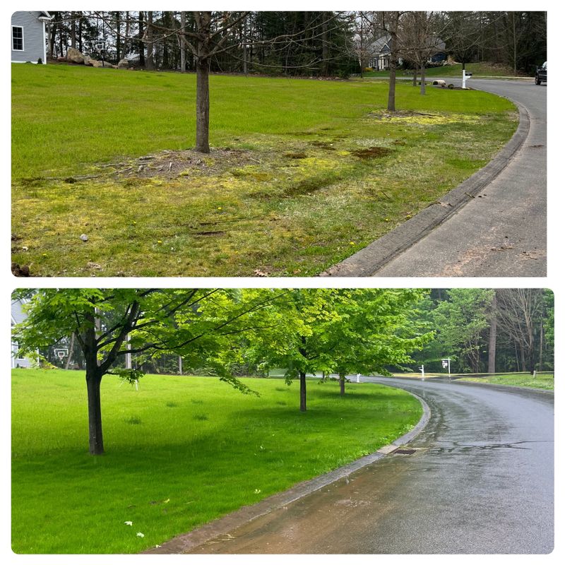Lawn Installation