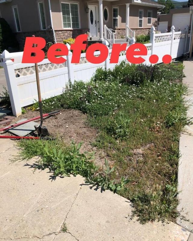 Other Lawn Services