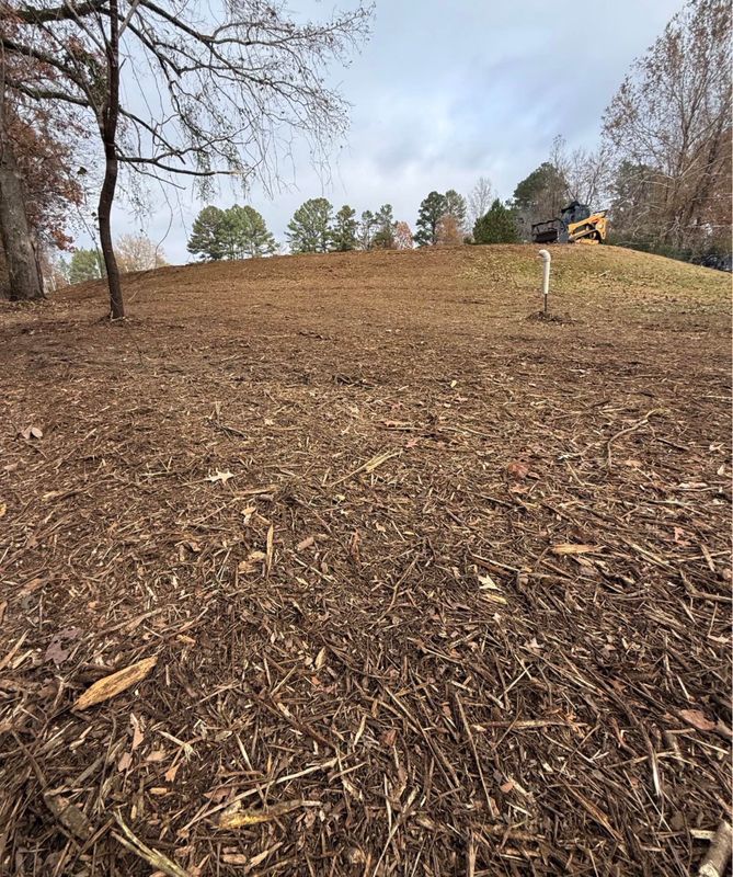 Land Clearing & Mulching