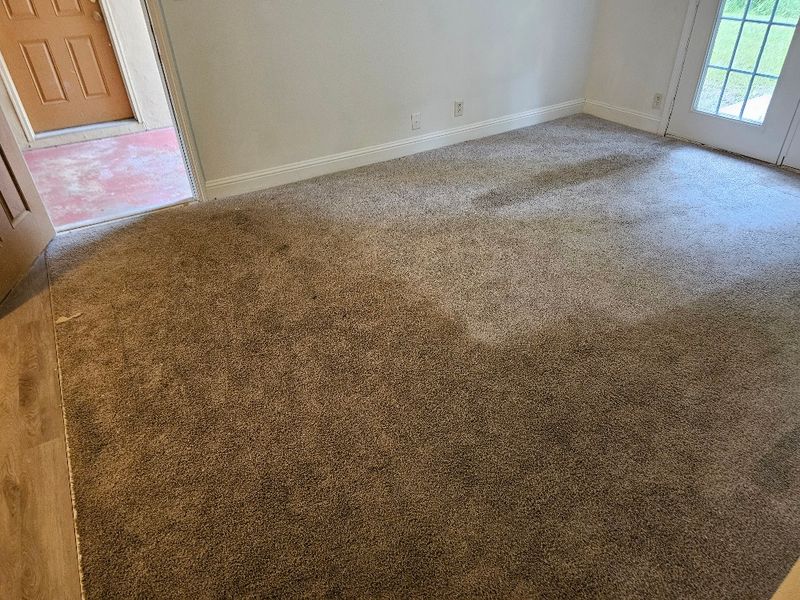 Carpet Cleaning