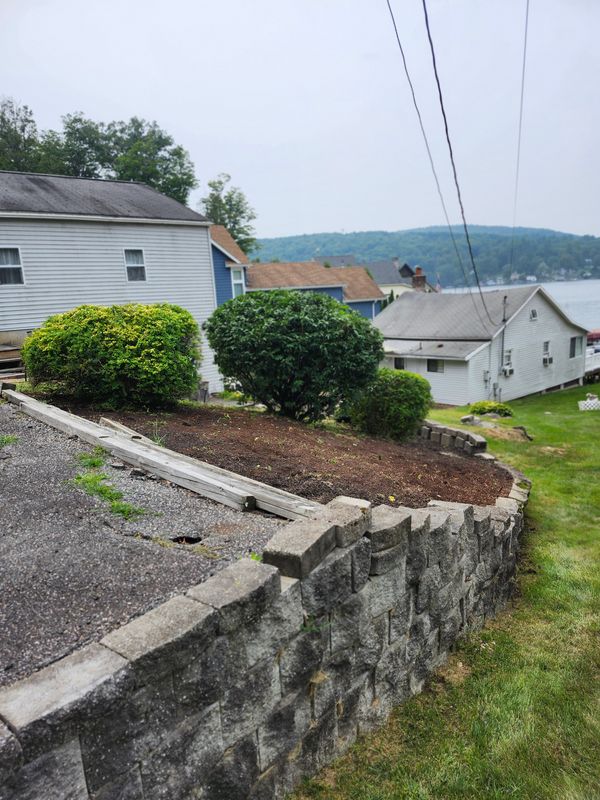 Hedge/Tree/Brush Cutting