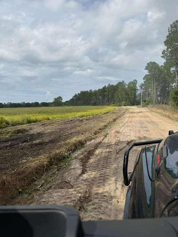 Land Clearing