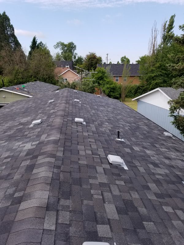 Shingle Roof Installation