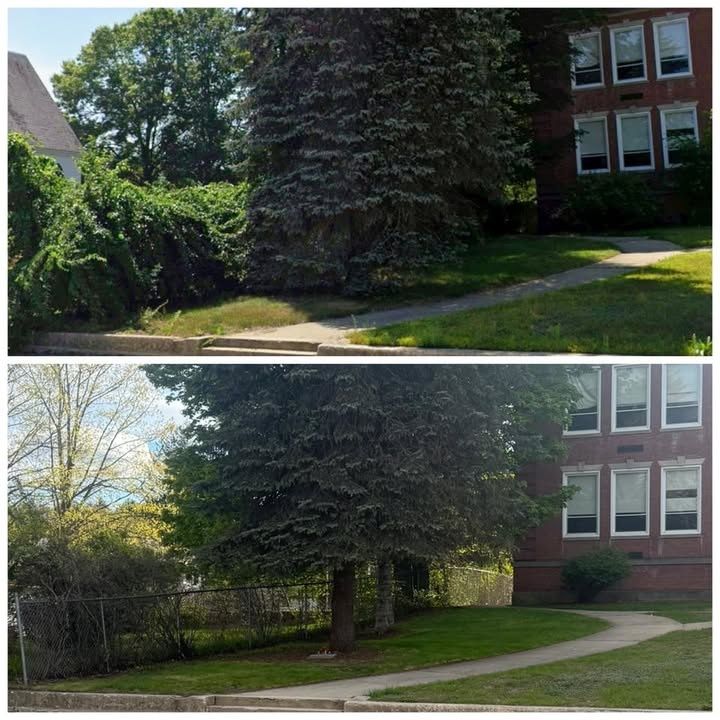 Lawn Maintenance