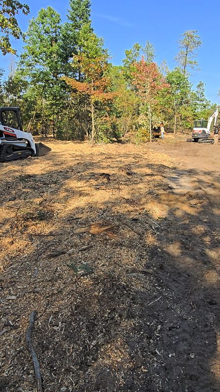 Lot Clearing