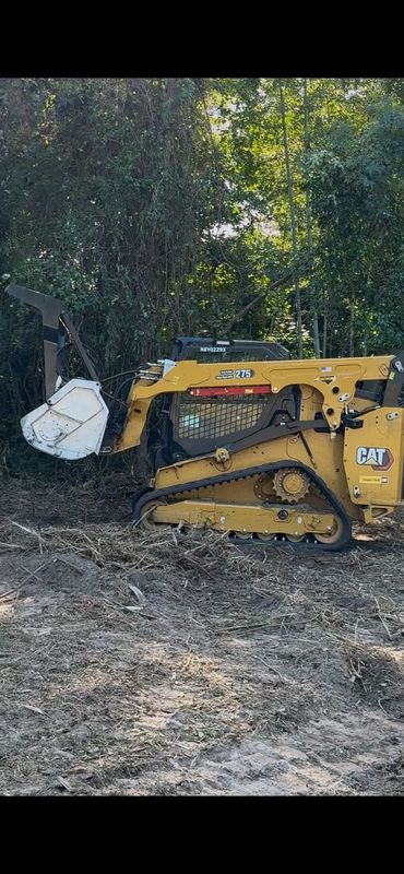 Forestry Mulching/Bush Hogging