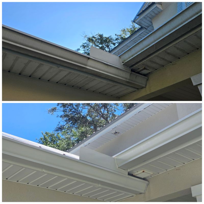 Gutter Cleaning