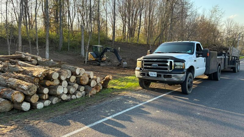 Land Services